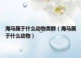 海馬屬于什么動物類群（海馬屬于什么動物）
