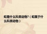 蛇是什么科類動(dòng)物?（蛇屬于什么科類動(dòng)物）