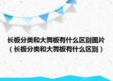 長板分類和大舞板有什么區(qū)別圖片（長板分類和大舞板有什么區(qū)別）