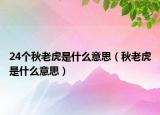 24個秋老虎是什么意思（秋老虎是什么意思）