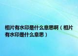 相片有水印是什么意思?。ㄏ嗥兴∈鞘裁匆馑迹? /></span></a>
                        <h2><a href=