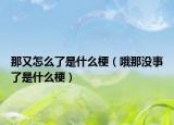 那又怎么了是什么梗（哦那沒事了是什么梗）