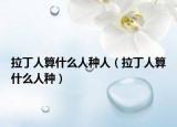 拉丁人算什么人種人（拉丁人算什么人種）