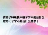 青青子衿縱我不往子寧不嗣音什么意思（子寧不嗣音什么意思）