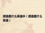 謂語是什么英語中（謂語是什么英語）