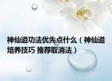 神仙道功法優(yōu)先點(diǎn)什么（神仙道培養(yǎng)技巧 推薦取消法）