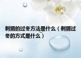 刺猬的過(guò)冬方法是什么（刺猬過(guò)冬的方式是什么）