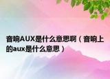 音響AUX是什么意思?。ㄒ繇懮系腶ux是什么意思）