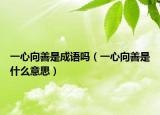 一心向善是成語嗎（一心向善是什么意思）