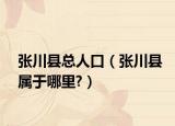 張川縣總?cè)丝冢◤埓h屬于哪里?）