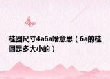 桂圓尺寸4a6a啥意思（6a的桂圓是多大小的）