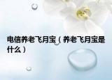 電信養(yǎng)老飛月寶（養(yǎng)老飛月寶是什么）
