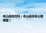 老山戰(zhàn)役百科（老山戰(zhàn)役老山是哪里）