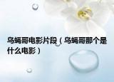 烏蠅哥電影片段（烏蠅哥那個(gè)是什么電影）