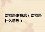 哈特是啥意思（哈特是什么意思）