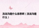洗龍溝是什么意思啊（洗龍溝是什么）
