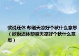 欲說還休 卻道天涼好個秋什么意思（欲說還休卻道天涼好個秋什么意思）