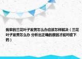 我家的蘭花葉子發(fā)黃怎么辦應該怎樣解決（蘭花葉子發(fā)黃怎么辦 分析出正確的原因才能對癥下藥）