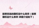 股票里面的期權(quán)是什么意思（股票期權(quán)是什么意思 詳細介紹如下）