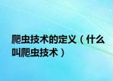 爬蟲技術的定義（什么叫爬蟲技術）