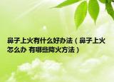 鼻子上火有什么好辦法（鼻子上火怎么辦 有哪些降火方法）