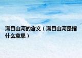 滿(mǎn)目山河的含義（滿(mǎn)目山河是指什么意思）