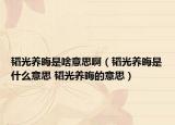 韜光養(yǎng)晦是啥意思?。w光養(yǎng)晦是什么意思 韜光養(yǎng)晦的意思）