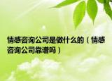 情感咨詢公司是做什么的（情感咨詢公司靠譜嗎）