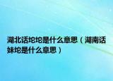 湖北話坨坨是什么意思（湖南話妹坨是什么意思）