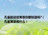 孔雀的這些寓意你都知道嗎?（孔雀寓意著什么）