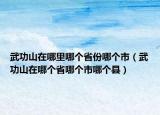 武功山在哪里哪個(gè)省份哪個(gè)市（武功山在哪個(gè)省哪個(gè)市哪個(gè)縣）