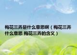 梅花三弄是什么意思?。坊ㄈ裁匆馑?梅花三弄的含義）