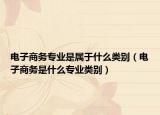 電子商務(wù)專業(yè)是屬于什么類別（電子商務(wù)是什么專業(yè)類別）