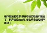 銷聲匿跡的意思 哪些動物已經(jīng)銷聲匿跡了（銷聲匿跡的意思 哪些動物已經(jīng)銷聲匿跡）