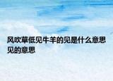 風(fēng)吹草低見牛羊的見是什么意思見的意思