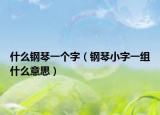 什么鋼琴一個(gè)字（鋼琴小字一組什么意思）