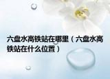六盤水高鐵站在哪里（六盤水高鐵站在什么位置）