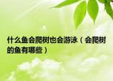 什么魚會(huì)爬樹也會(huì)游泳（會(huì)爬樹的魚有哪些）
