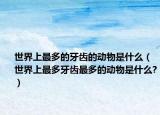 世界上最多的牙齒的動(dòng)物是什么（世界上最多牙齒最多的動(dòng)物是什么?）