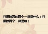 掃黑除惡的兩個一律指什么（掃黑除兩個一律是啥）
