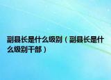 副縣長(zhǎng)是什么級(jí)別（副縣長(zhǎng)是什么級(jí)別干部）