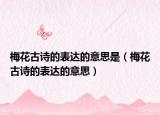 梅花古詩的表達(dá)的意思是（梅花古詩的表達(dá)的意思）