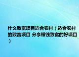 什么致富項(xiàng)目適合農(nóng)村（適合農(nóng)村的致富項(xiàng)目 分享賺錢致富的好項(xiàng)目）