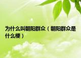 為什么叫朝陽群眾（朝陽群眾是什么梗）