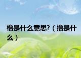 櫓是什么意思?（擼是什么）