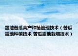 露地苦瓜高產(chǎn)種植管理技術(shù)（苦瓜露地種植技術(shù) 苦瓜露地栽培技術(shù)）