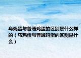 烏雞蛋與普通雞蛋的區(qū)別是什么樣的（烏雞蛋與普通雞蛋的區(qū)別是什么）
