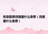 終身醫(yī)保待遇是什么意思（待遇是什么意思）