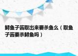鱘魚子醬取出來要殺魚么（取魚子醬要殺鱘魚嗎）
