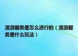 漫游服務是怎么進行的（漫游服務是什么玩法）